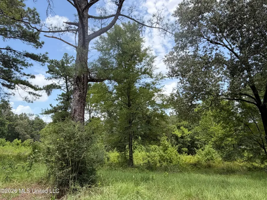 Mannsdale Rd, Madison, MS 39110 - #2