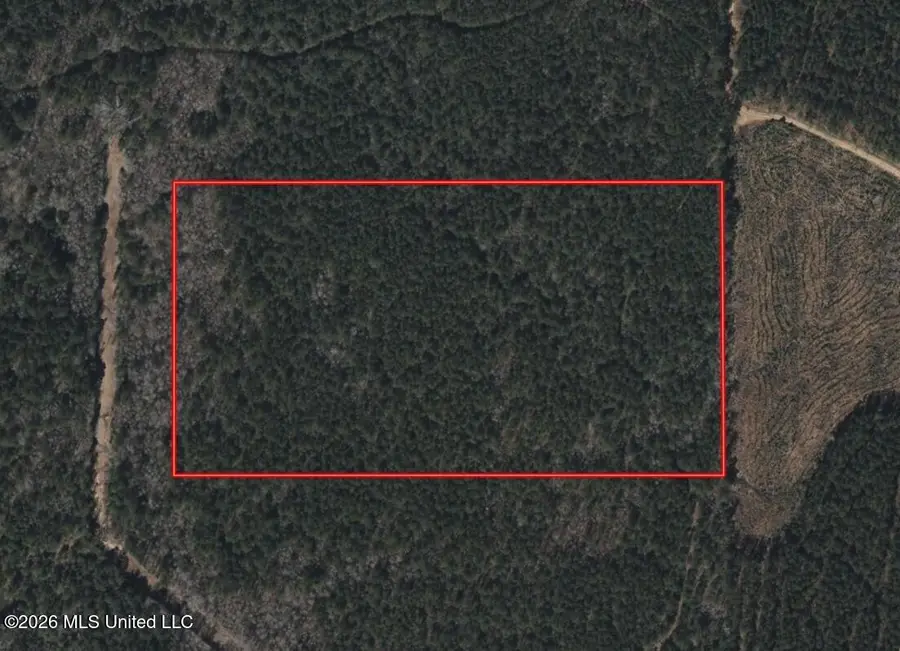 00 Pine Grove Lane, Wesson, MS 39191 - #2