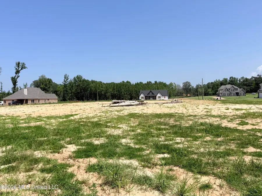 5441 Hazelwood Drive, Lake Cormorant, MS 38641 - #3