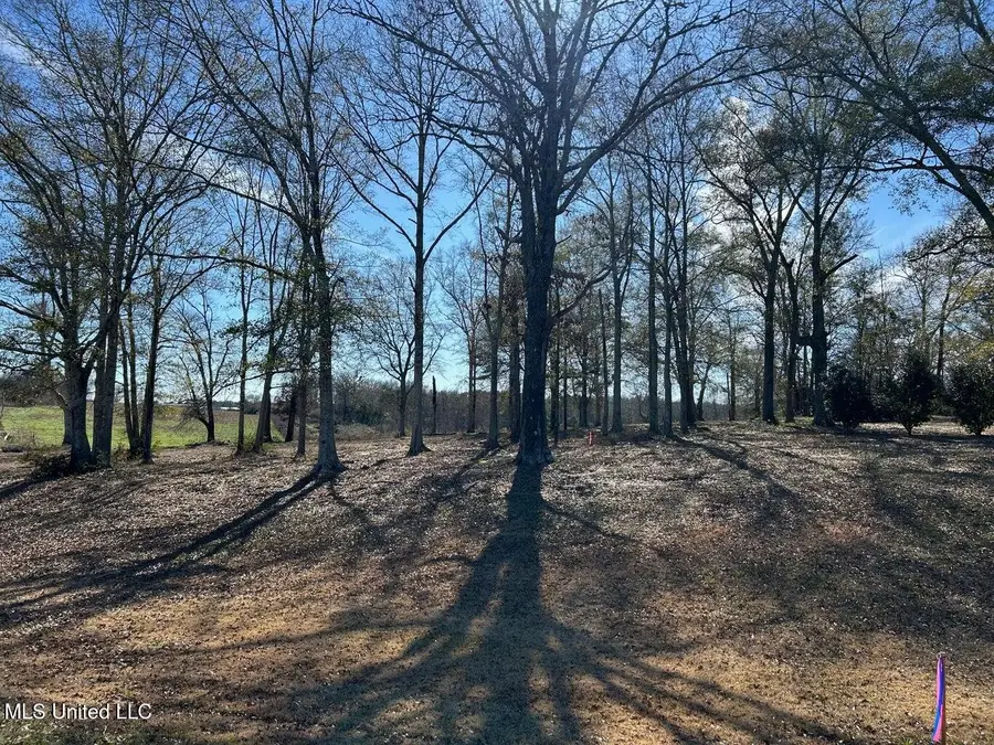00 Biltmore Road, McComb, MS 39648 - #3