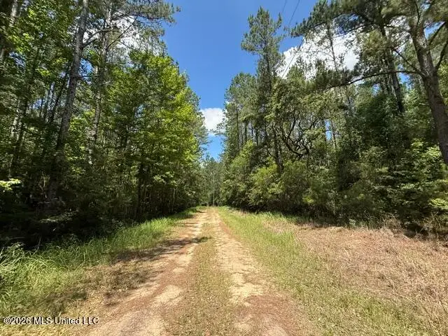 Elmer Hamilton Road Road, Moss Point, MS 39562 - #1