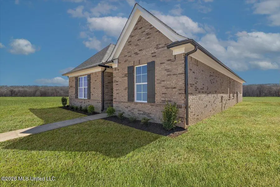 457 Sunflower Street, Nesbit, MS 38651 - #3