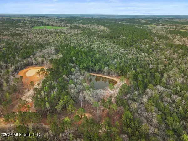 Antler Ridge Drive, Poplarville, MS 39470