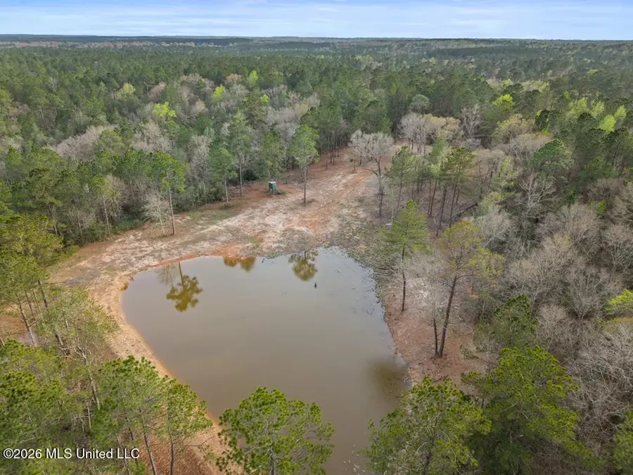 Antler Ridge Drive, Poplarville, MS 39470 - #2
