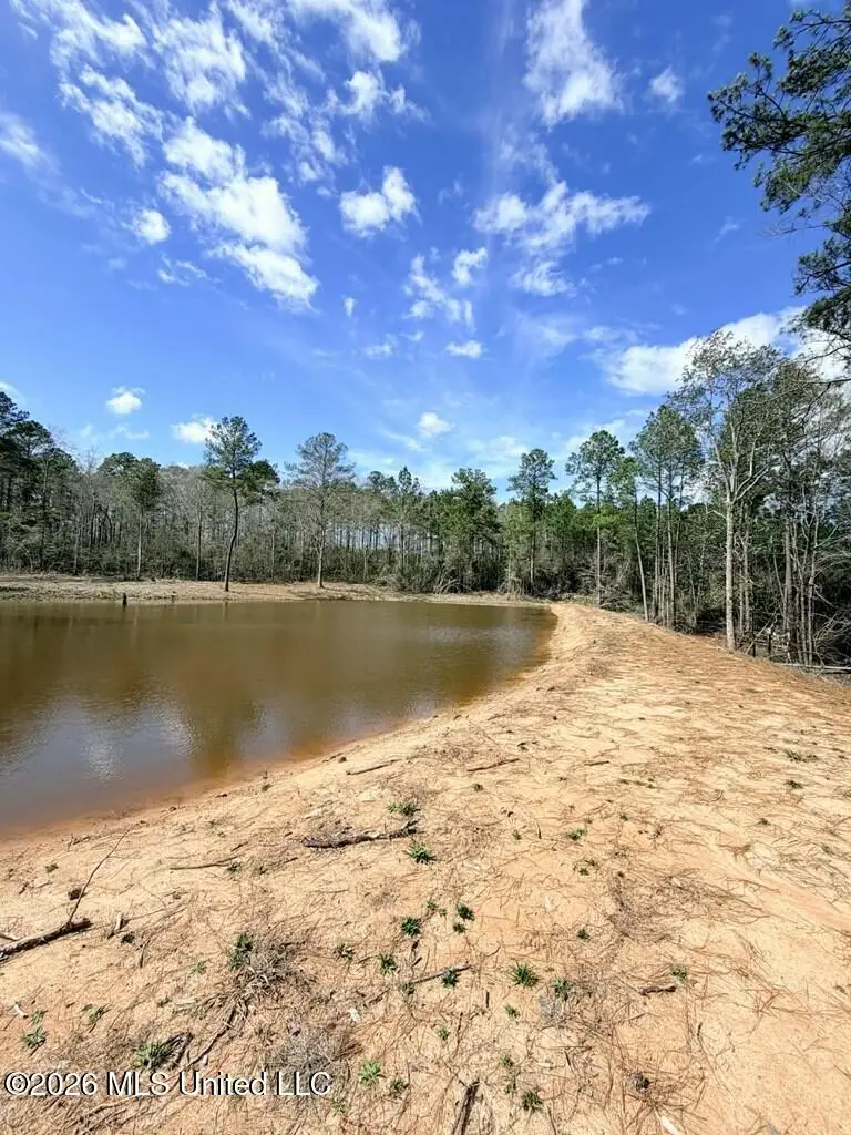 Antler Ridge Drive, Poplarville, MS 39470 - #3