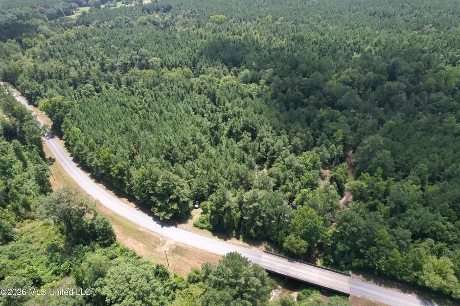 1 Dummyline Road Ne, McCall Creek, MS 39647 - #3