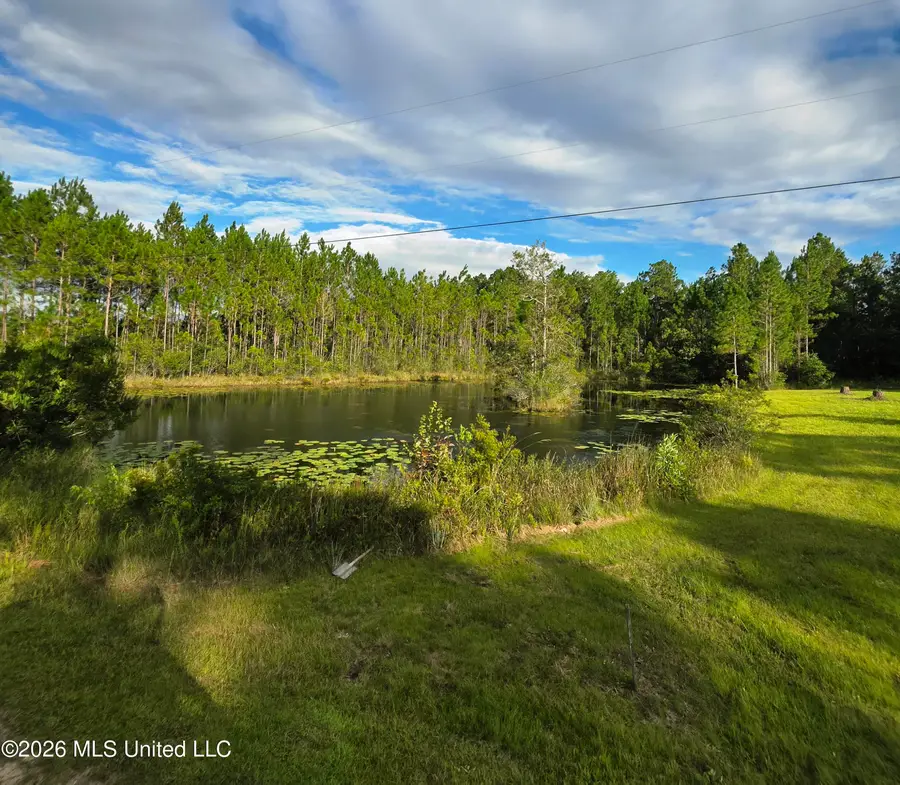 10230 Muszar Lane, Vancleave, MS 39565 - #3