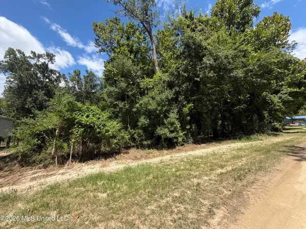 Plum Bluff Drive, Lucedale, MS 39452