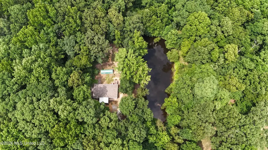 175 Shipp Lane, Holly Springs, MS 38635 - #3