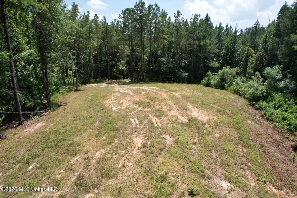 399 NE Dummyline Road, McCall Creek, MS 39647 - #1