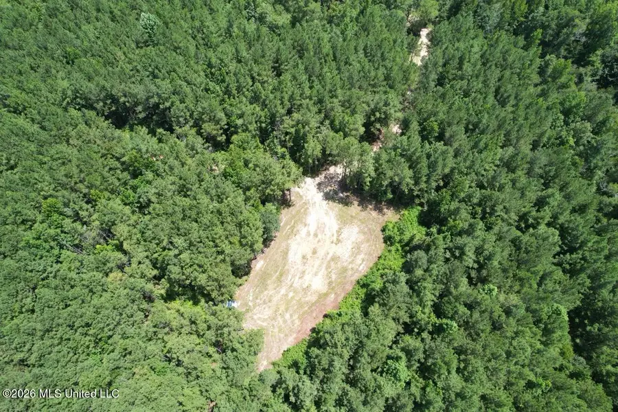399 NE Dummyline Road, McCall Creek, MS 39647 - #2