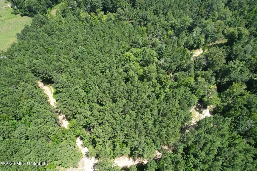 399 NE Dummyline Road, McCall Creek, MS 39647 - #3