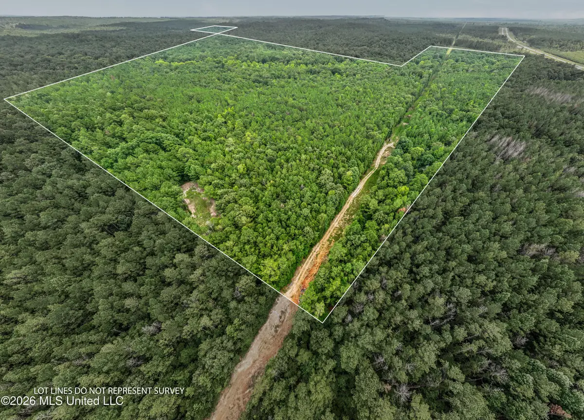 0 E Of Hwy 45, Waynesboro, MS 39367 - #1