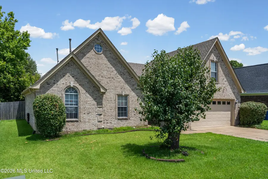 9768 Crape Myrtle Drive, Olive Branch, MS 38654 - #3
