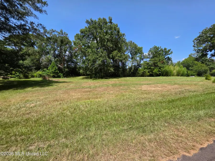 1041 3rd Street, Wesson, MS 39191 - #2
