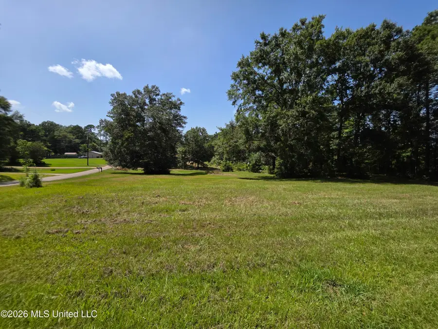 1041 3rd Street, Wesson, MS 39191 - #3
