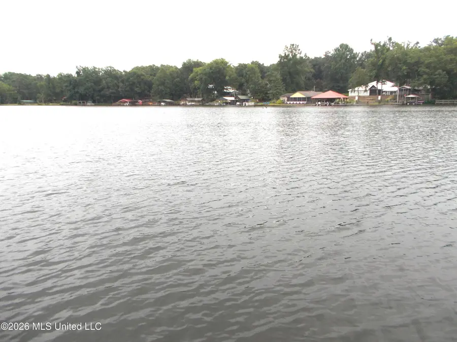 1725 Snow Lake Drive, Ashland, MS 38603 - #3