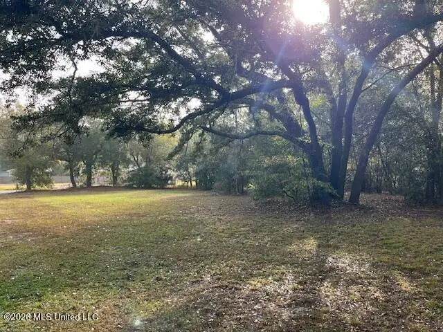 Turner Street, Bay Saint Louis, MS 39520 - #3
