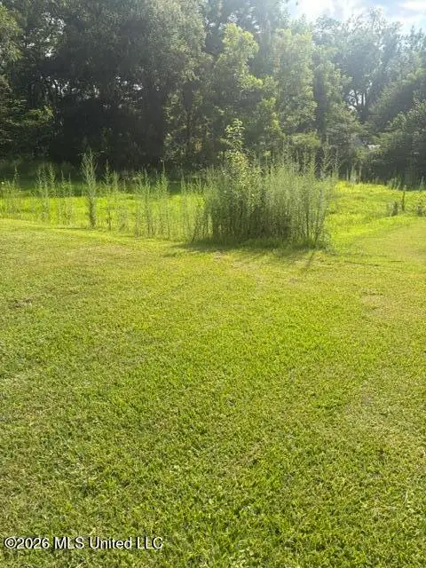 203 S Binford Avenue, Duck Hill, MS 38925 - #3