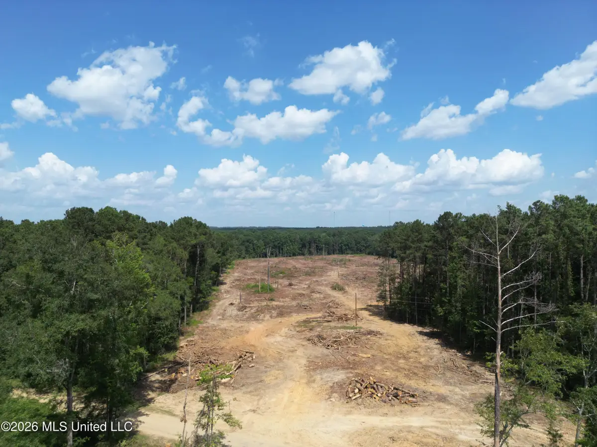 SE Cole Drive, Bogue Chitto, MS 39629 - #1