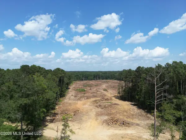 SE Cole Drive, Bogue Chitto, MS 39629