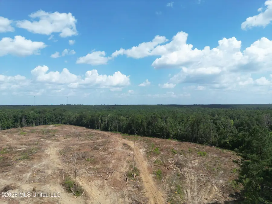 SE Cole Drive, Bogue Chitto, MS 39629 - #3