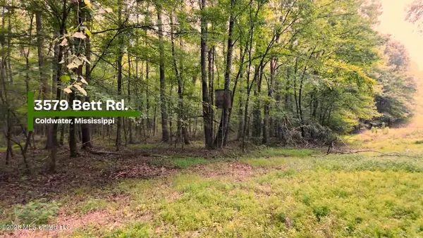 3579 Bett Road, Coldwater, MS 38618