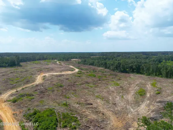 SE Cole Drive, Bogue Chitto, MS 39629