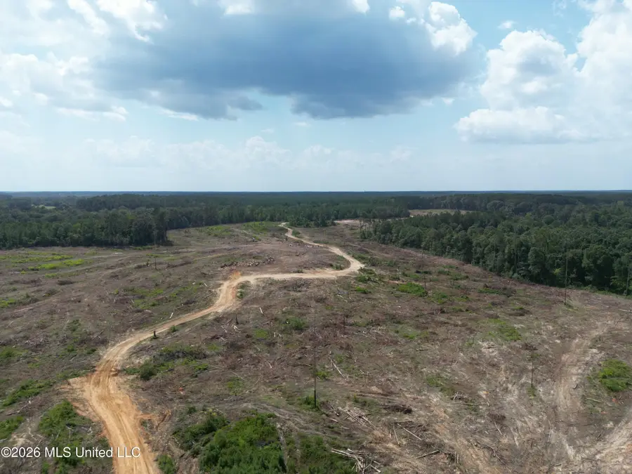 SE Cole Drive, Bogue Chitto, MS 39629 - #2