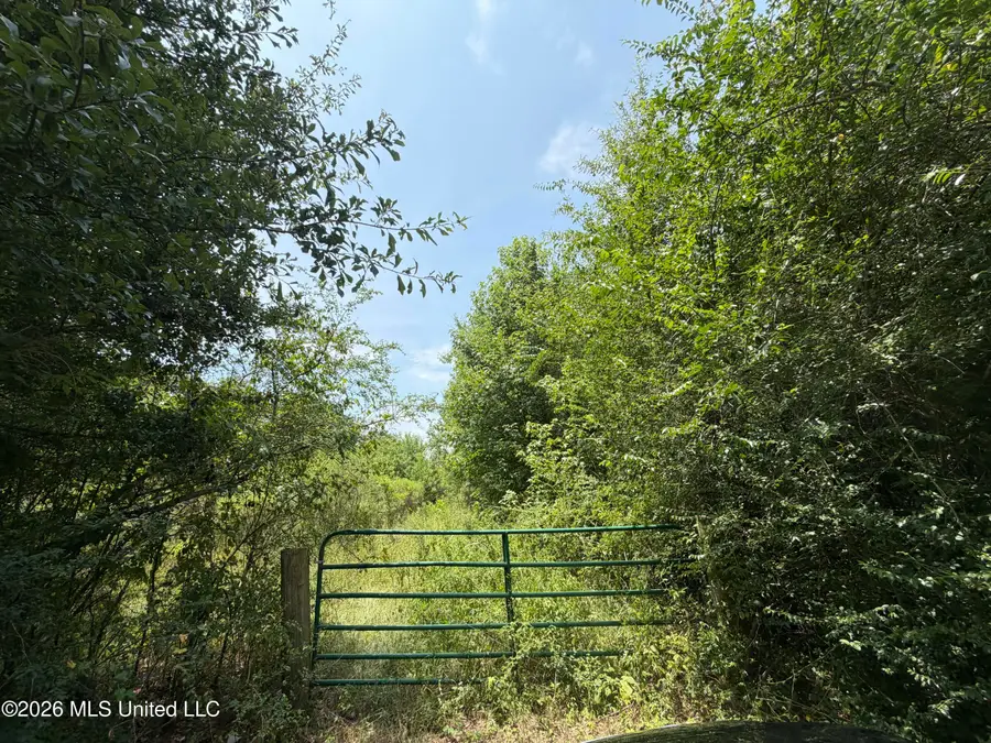 Old Jackson Road, Madison, MS 39110 - #2