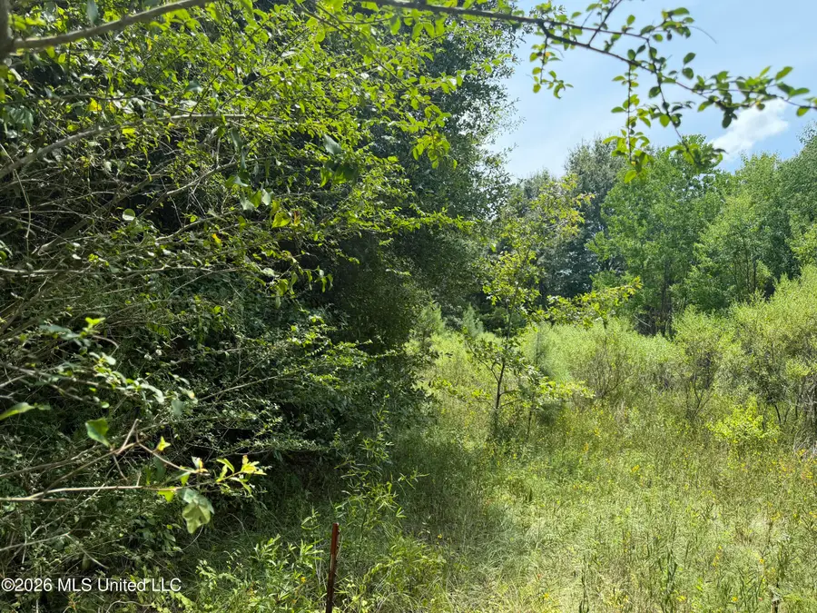 Old Jackson Road, Madison, MS 39110 - #3