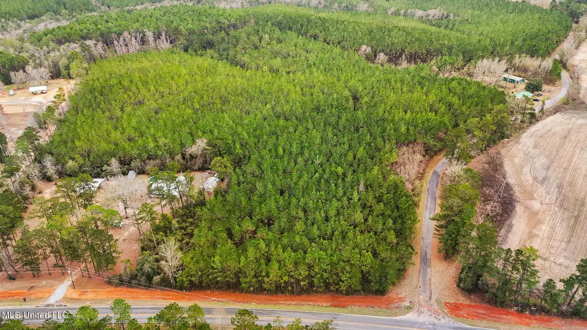 89ac Old Hwy 63n & Fork Rd, Lucedale, MS 39452 - #1