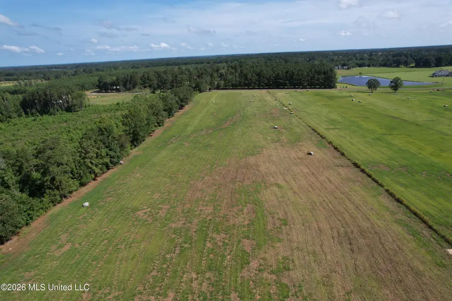 2546 Bogue Chitto Road, Smithdale, MS 39664 - #3
