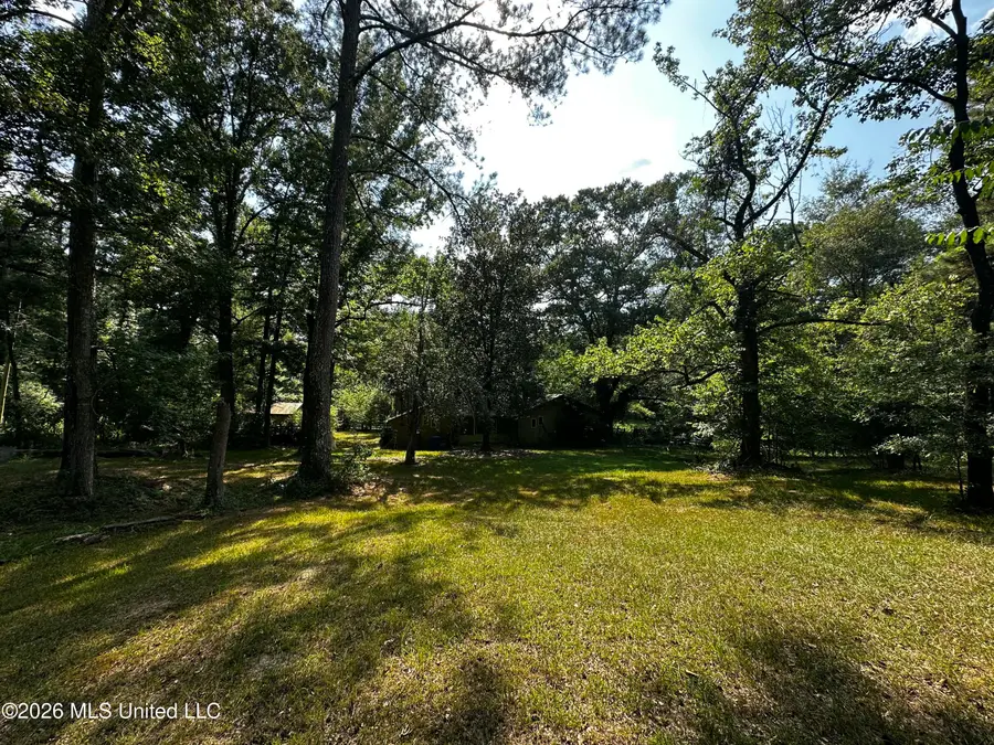 137 Shorter Road, Braxton, MS 39044 - #2