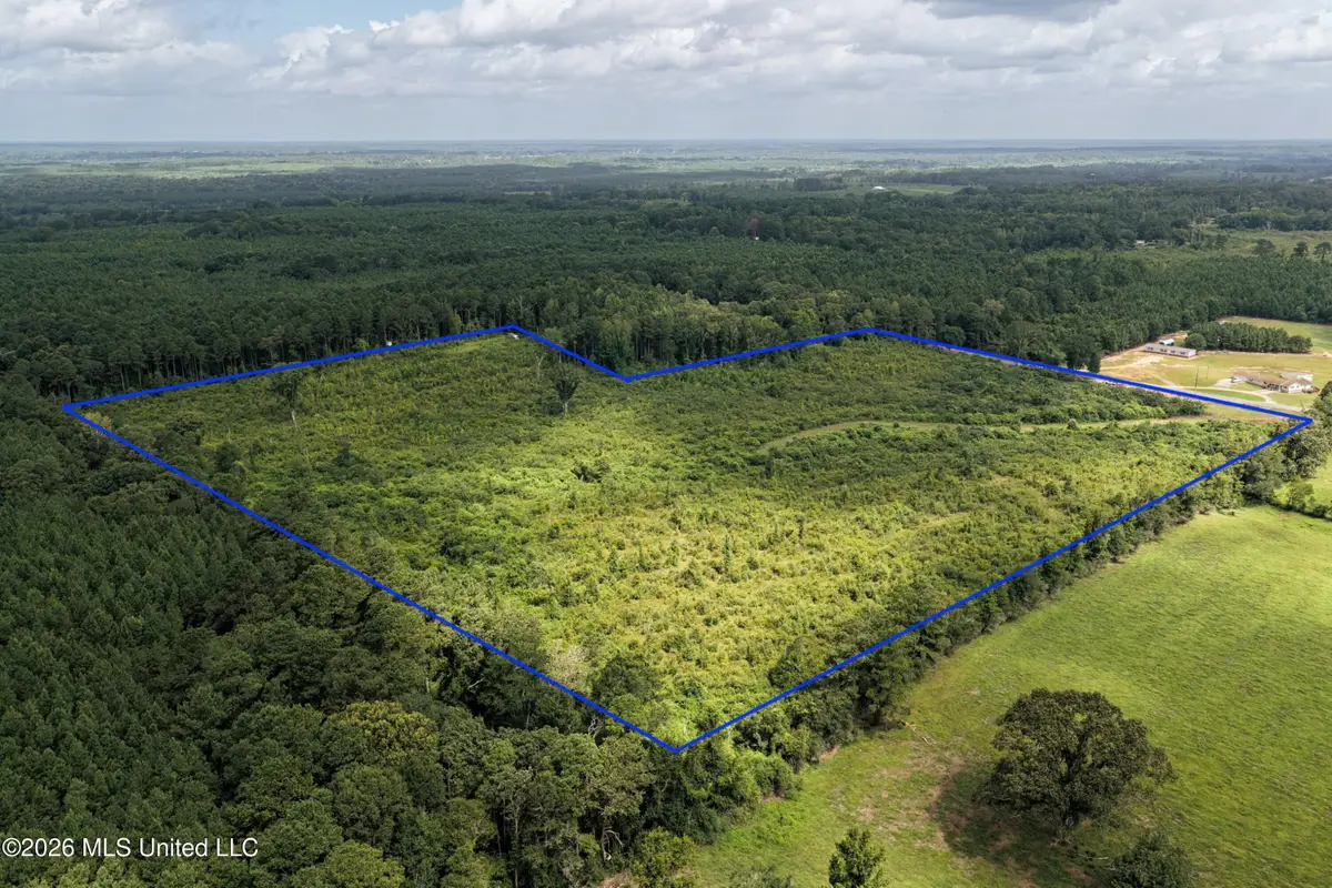 226 Van Holmes Road, Tylertown, MS 39667 - #1