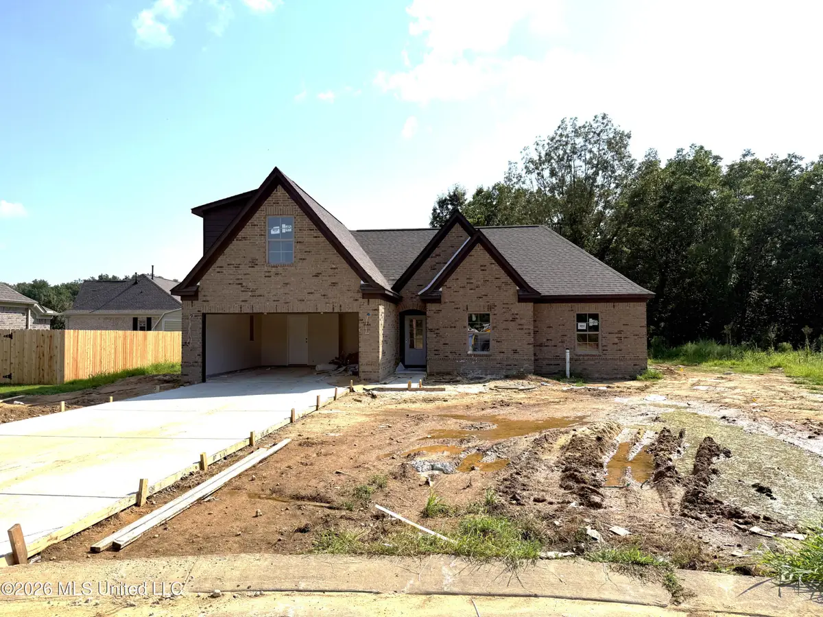 6597 Boxley Pointe, Walls, MS 38680 - #1