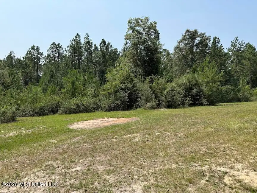 Roy Oneal Road, Perkinston, MS 39573 - #1