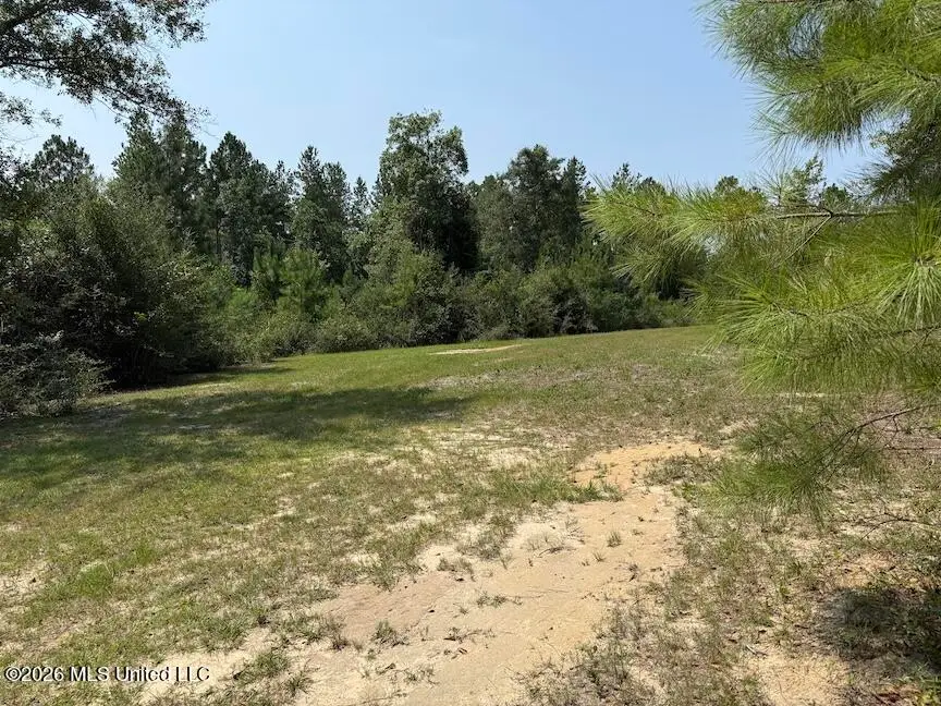 Roy Oneal Road, Perkinston, MS 39573 - #2