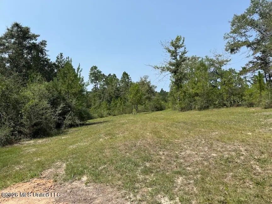 Roy Oneal Road, Perkinston, MS 39573 - #3
