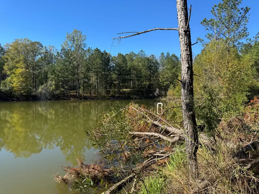 2014 Sanders Lane, Utica, MS 39175 - #2