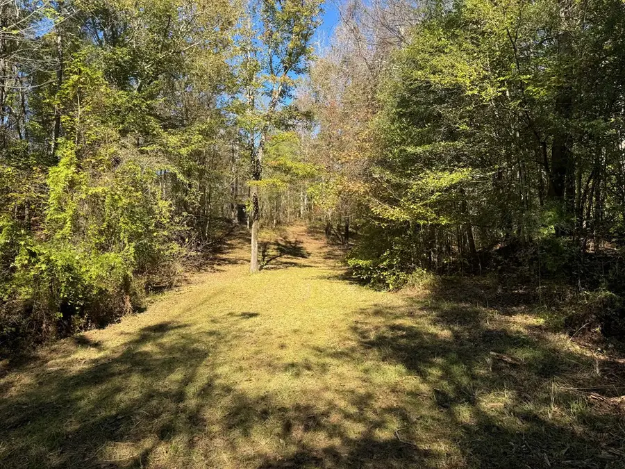 2014 Sanders Lane, Utica, MS 39175 - #3