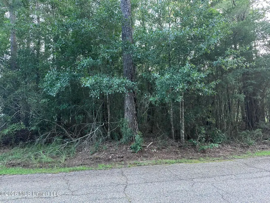Covered Bridge Road, Carriere, MS 39426 - #2