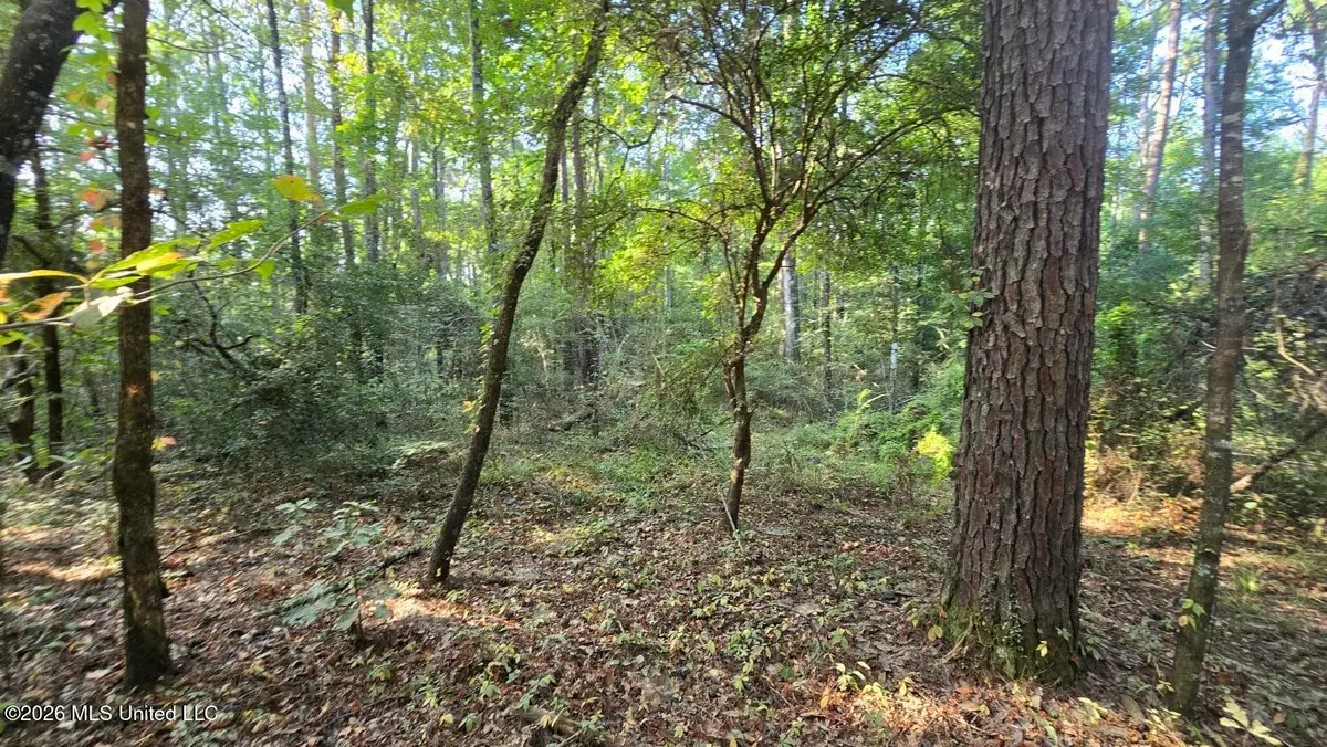 Stump Road, Gloster, MS 39638 - #1