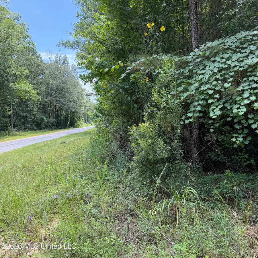 7510 Morton-marathon Road, Pulaski, MS 39152 - #2