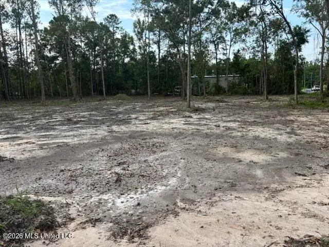 Martin Bluff Road, Gautier, MS 39553 - #1