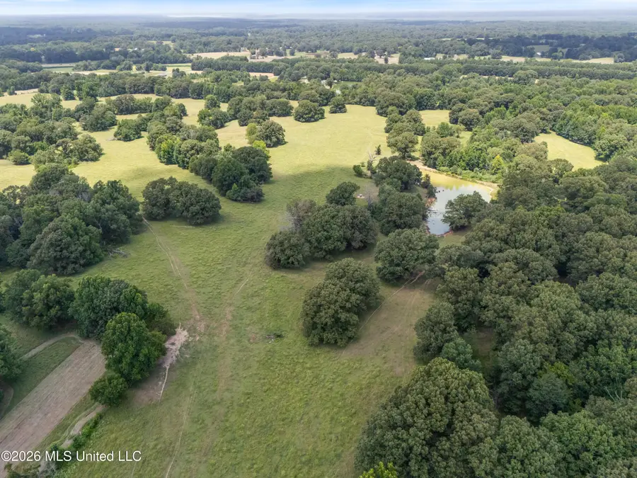 1150 Veazey Road, Coldwater, MS 38618 - #2