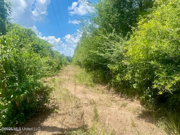 Archie Boyd Road, Jayess, MS 39641