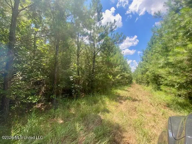 Archie Boyd Road, Jayess, MS 39641 - #3