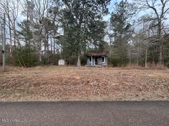 0 SE Pricedale Drive, Bogue Chitto, MS 39629 - #1