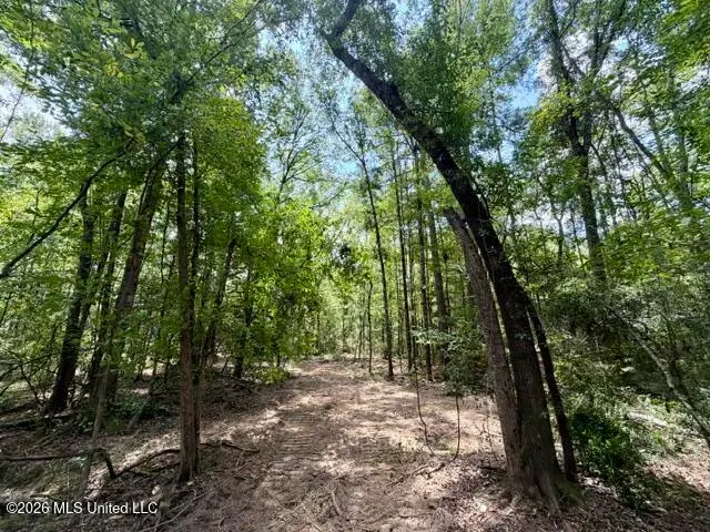 SE Lee Drive, Bogue Chitto, MS 39629 - #1